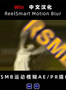 Win中文版-RSMB运动模糊AE/PR插件 ReelSmart Motion Blur 6.4.4