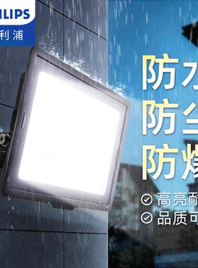 飞利浦LED投光灯BVP150明欣户外防水灯投射灯广告灯泛光灯室外灯