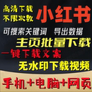 小红书主页批量提取图片短视频去水印下载软件电脑手机关键词搜索