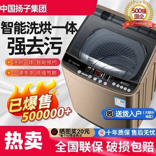 中国扬子集团洗衣机全自动家用出租屋小型波轮迷你洗烘一体脱宿舍