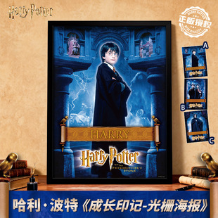 华纳正版 饰墙面壁纸立体贴画宿舍色纸 哈利波特光栅海报周边房间装