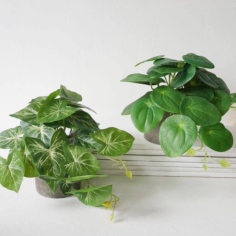 仿真绿植小盆栽装饰假植物图片
