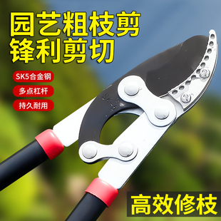 园林修剪树枝大剪刀省力型修枝剪刀强力粗枝高枝剪农用大力剪果树