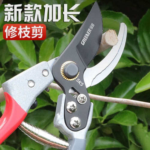 新款快速果树修枝剪枝条园林盆景修剪剪刀粗枝省力剪树枝专用剪刀