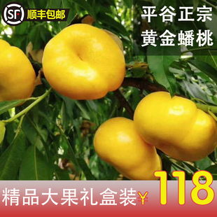 正宗北京平谷大桃子黄油蟠桃毛新鲜当季水果脆甜软礼盒鲜桃久保现