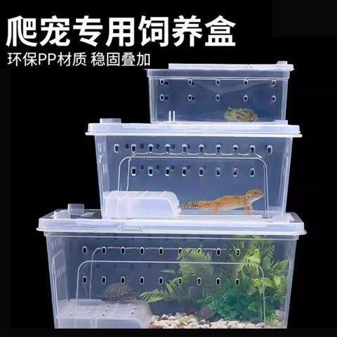 爬虫饲养盒蜘蛛角蛙蜗牛仓鼠守宫爬宠箱乌龟缸寄居蟹饲养缸人渣盒