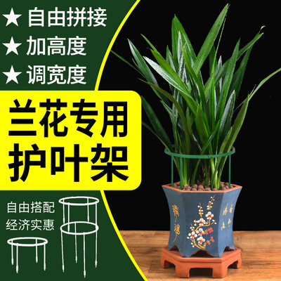 兰花专用架护叶花架子支撑架