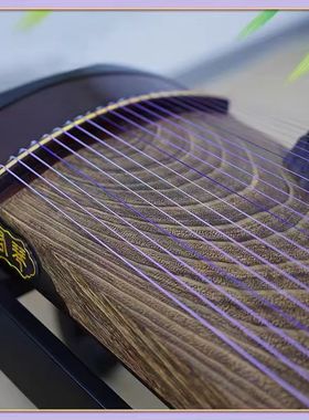 紫色163标准B型通用弦专业演奏古筝琴弦德国进口钢丝1-21单根套装