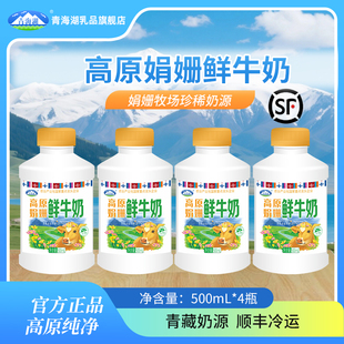 青海湖高原娟姗鲜牛奶500ml 4瓶3.8g蛋白每日鲜低温冷藏高原牧场