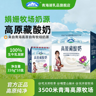 青海湖高原藏酸奶210g*10盒整箱娟姗牧场生牛乳发酵常温高原酸奶