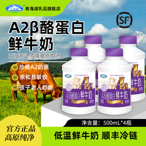 青海湖A2β-酪蛋白鲜牛奶500ml*4瓶每日鲜学生儿童孕妇a2牧场鲜奶