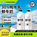 青海湖高原鲜牛奶1L 2瓶含30%牦牛生牛乳营养低温巴氏杀菌鲜牛奶