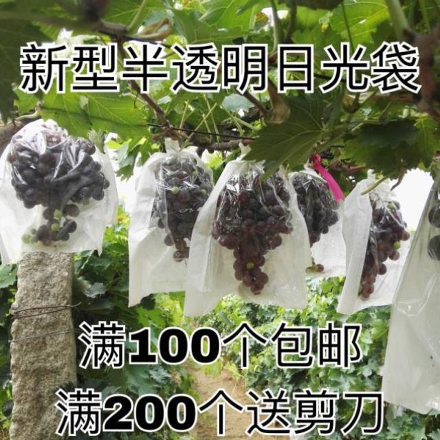 袋子保护新型防护水果塑料抗水种植防虫葡萄套袋专用袋半透明防雨在类目 鲜花速递/花卉仿真/绿植园艺, 园艺用品, 其它园艺用品中 - 来自Buy2taobao.com提供专业的淘宝代购服务