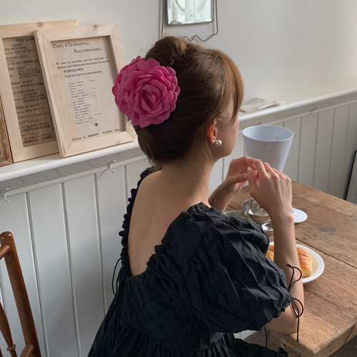 高版本！caro博主同款大花朵抓夹