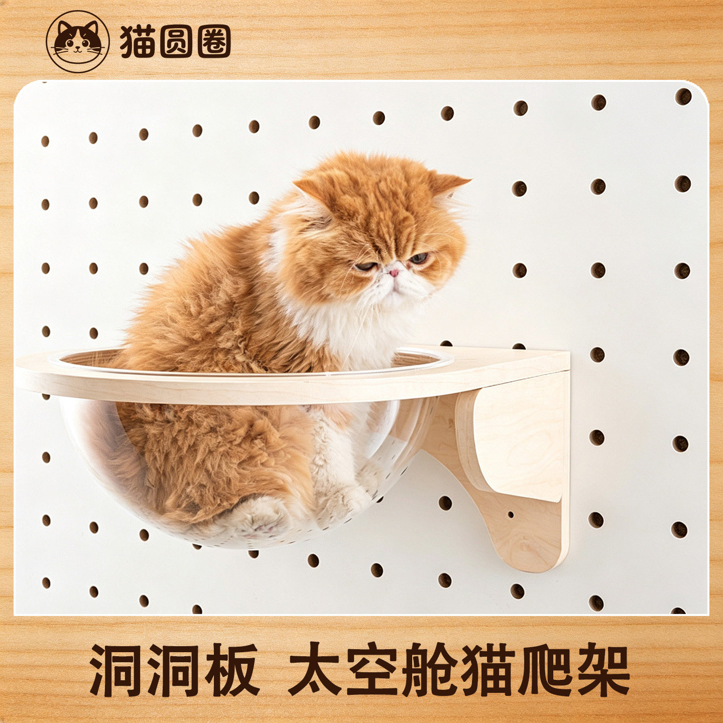 猫圆圈15mm实木洞洞板免打孔壁挂图片