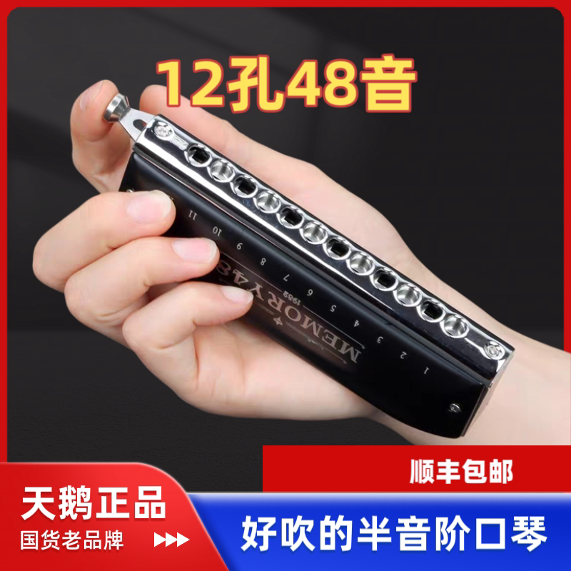 天鹅12孔48音me记忆半音阶口琴练习演奏系列
