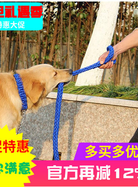 包邮-大型犬家用蓝色外出牵引绳 狗链子 尼龙牵引带项圈套装
