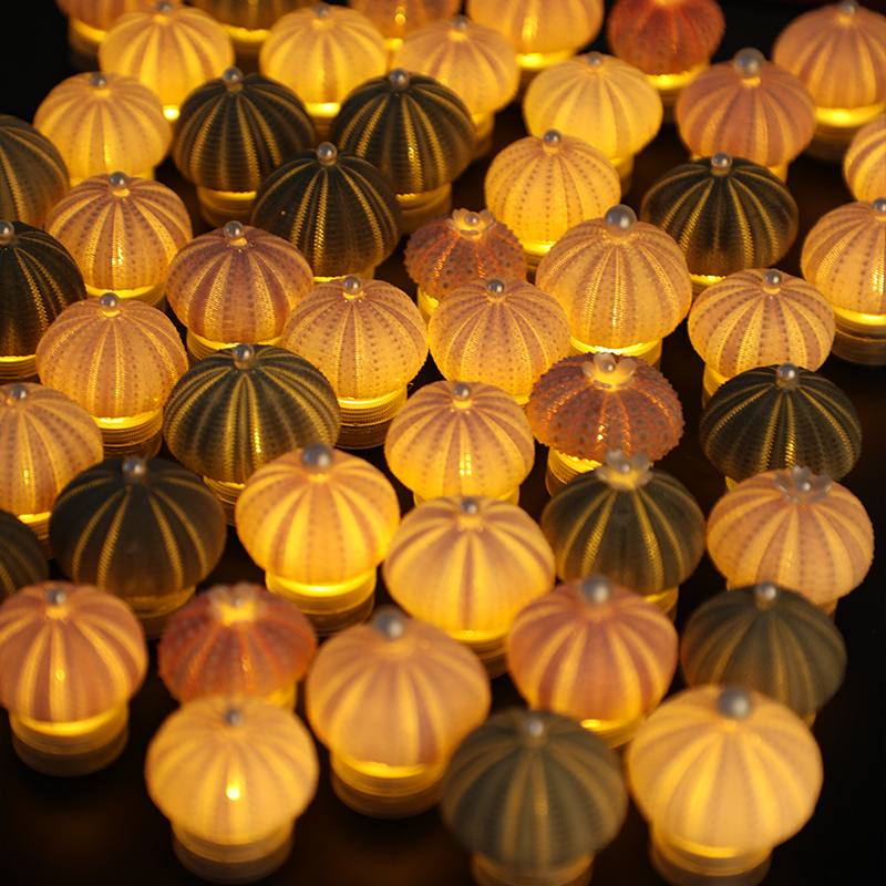 天然海胆小夜灯冰箱贴旅游景区同款海螺贝壳文创纪念品特色伴手礼