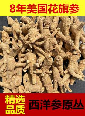 花旗参500g西洋参原丛整枝参条