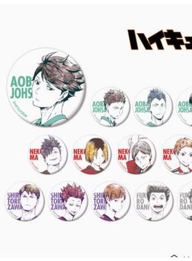 【日谷】次元汇日谷 排球少年Ani-Art系列集换式官方正版