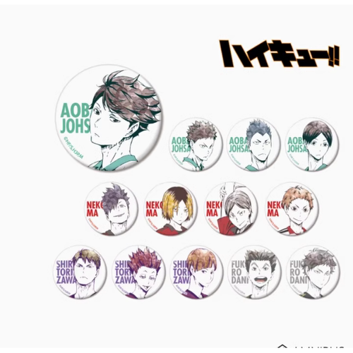 【日谷】次元汇日谷 排球少年Ani-Art系列集换式官方正版