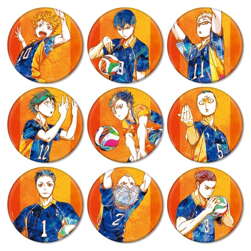 【日谷】 现货 排球少年 集换式Ani-Art 第2弹大徽章 日向翔阳