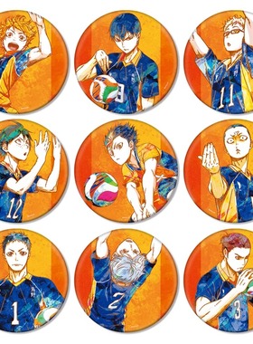 【日谷】 现货 排球少年 集换式Ani-Art 第2弹大徽章 日向翔阳