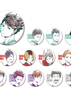 【日谷】ARMABIANCA 排球少年 Ani-Art系列集换式 徽章B款 盒蛋