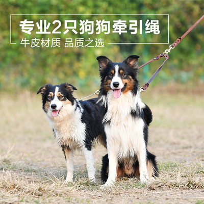 Chukchi楚克奇牛皮一拖二小中大型犬宠物双头牵引绳狗链子遛狗绳