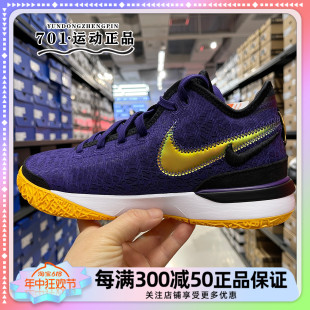 EP詹姆斯缓震实战篮球鞋 GEN NXXT 耐克NIKE男鞋 DR8788 LEBRON 500