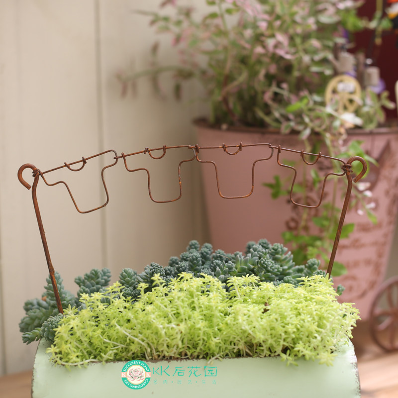 INS手工锈色铁艺衣服花插多肉插件户外花园装饰 仅50个售完无补