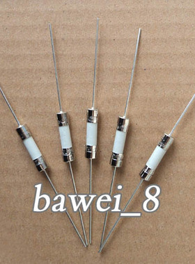 T4A T6.3A T8A T10A带引线陶瓷保险丝T3.15A 板保险 尺寸5X20MM