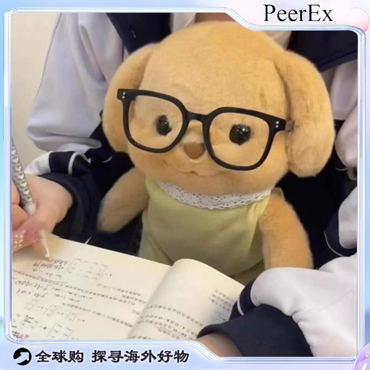 日本PeerEx戴眼镜森贝儿贵宾犬公仔玩偶可爱毛绒小狗家族礼物女生