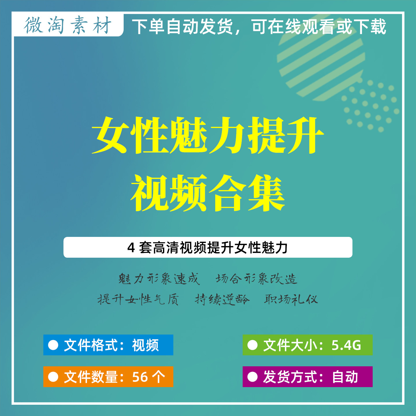女性魅力提升高清视频合集场合形刻录盘个性化服务