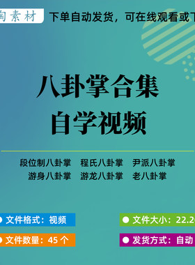 八卦掌全套自学视频合集零基础入门传统武术程氏游身尹派八卦掌