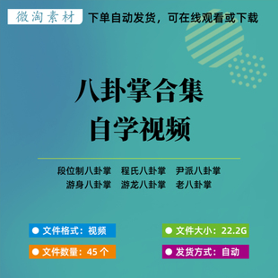 八卦掌全套自学视频合集零基础入门传统武术程氏游身尹派八卦掌