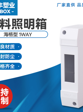 PZ30配电箱海格型1P2P4P回路明装塑料空开盒AY漏保开关盒电闸盒