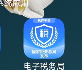 西安电子税务局报税个人所得税申报全国一口价包教会小白新手咨询