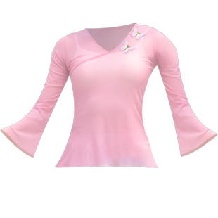 舞蹈服纱衣古典舞民族舞练功服女飘逸身韵服网纱成人艺考演出上衣