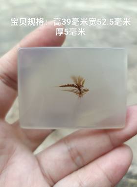 巴西大棵灵性水草玛瑙吊坠牌独一款可打孔男女同款挂饰63