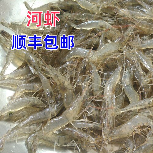 河虾野生初级农产品原生态