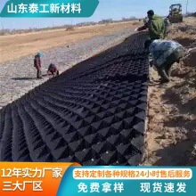 土工格室厂家直发 路基护坡防护绿色HDPE高强打孔蜂巢土工格室