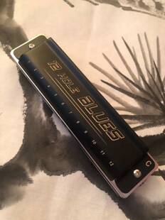 画琴阁主推荐 Scolo调音 十二孔蓝调布鲁斯口琴  半音阶 复音相同