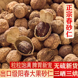 正宗阳春春砂仁烘干生晒沙仁阳春特产野生广东砂仁中药养胃500g
