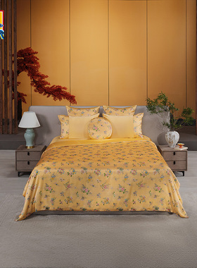 爱慕皇锦印花双人蚕丝被-八宝吉祥（1000g）HJ11892