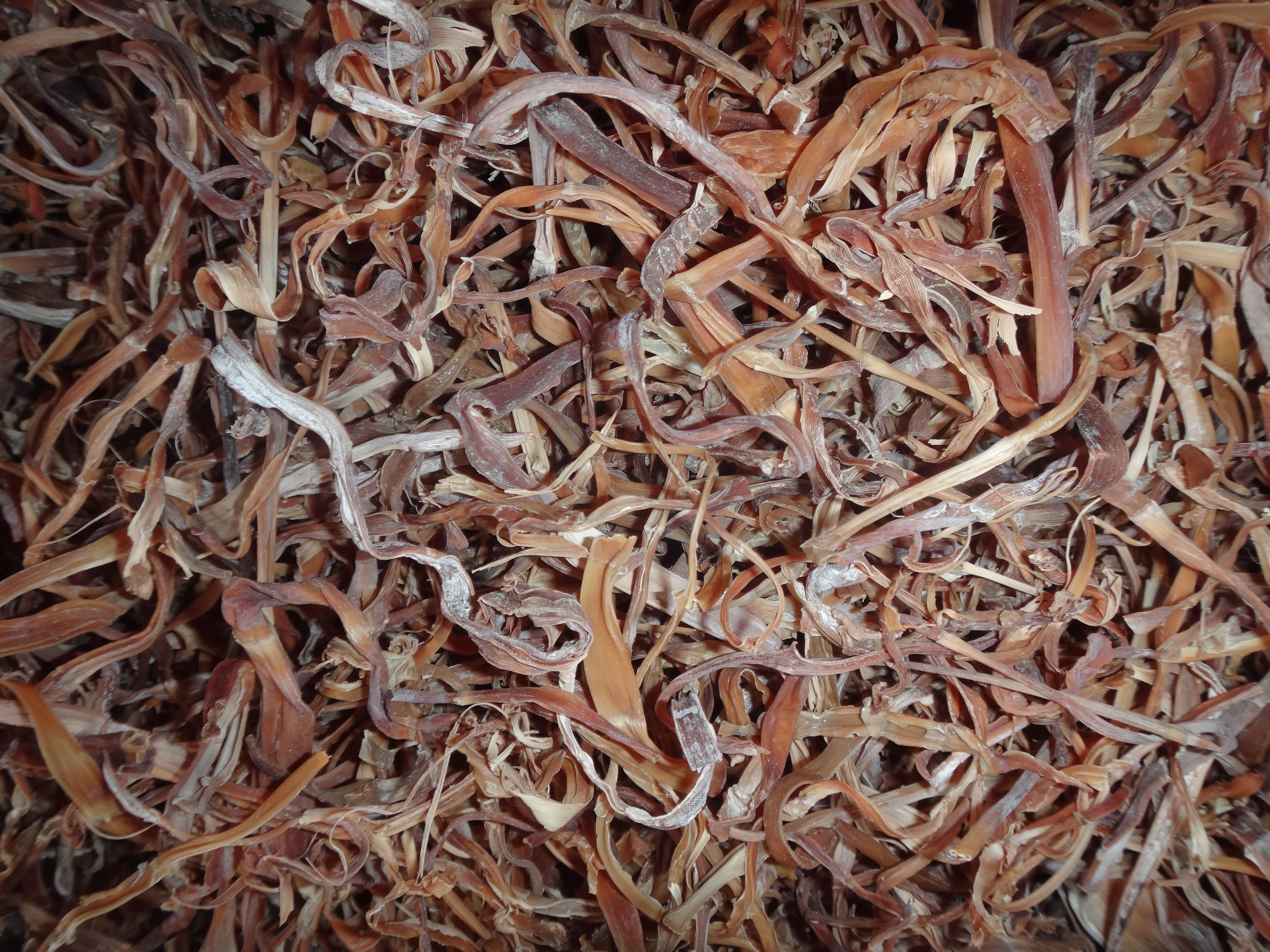 安徽金寨农家土特产三月竹笋子晒干笋丝天然野生小竹笋丝笋干