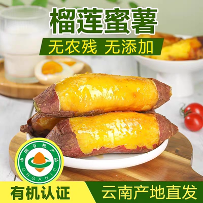 榴莲蜜薯云南文山丘北高原黄心蜜薯糖心红薯新鲜蜜薯地瓜现挖