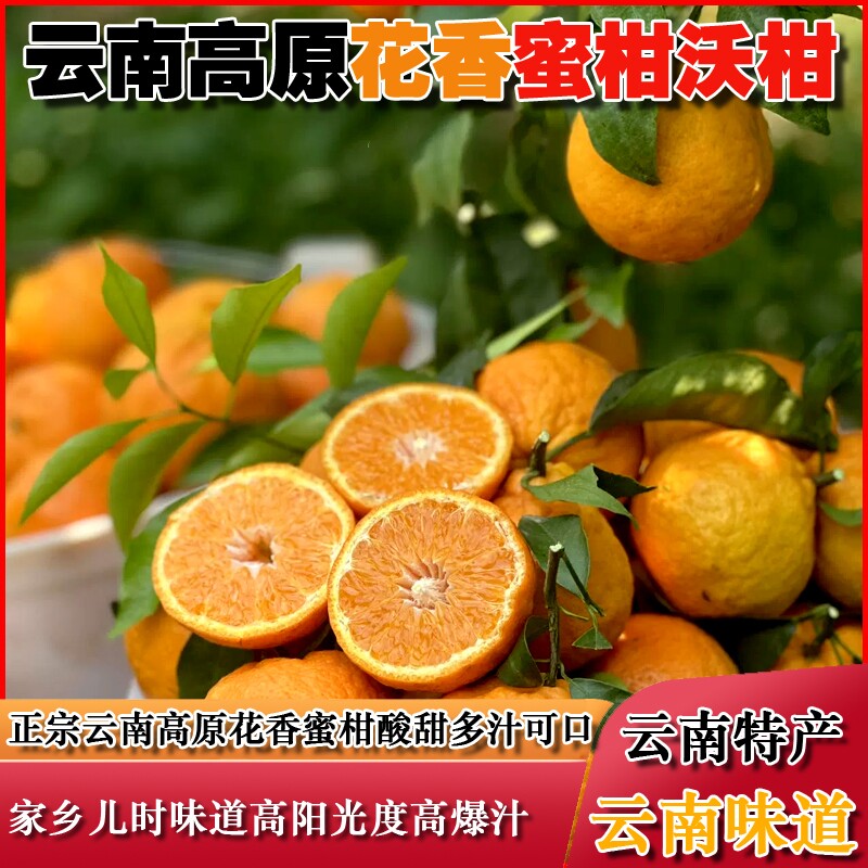 云南特产高原花香蜜柑酸甜多汁果冻口感少籽沃柑柑橘味道礼盒装