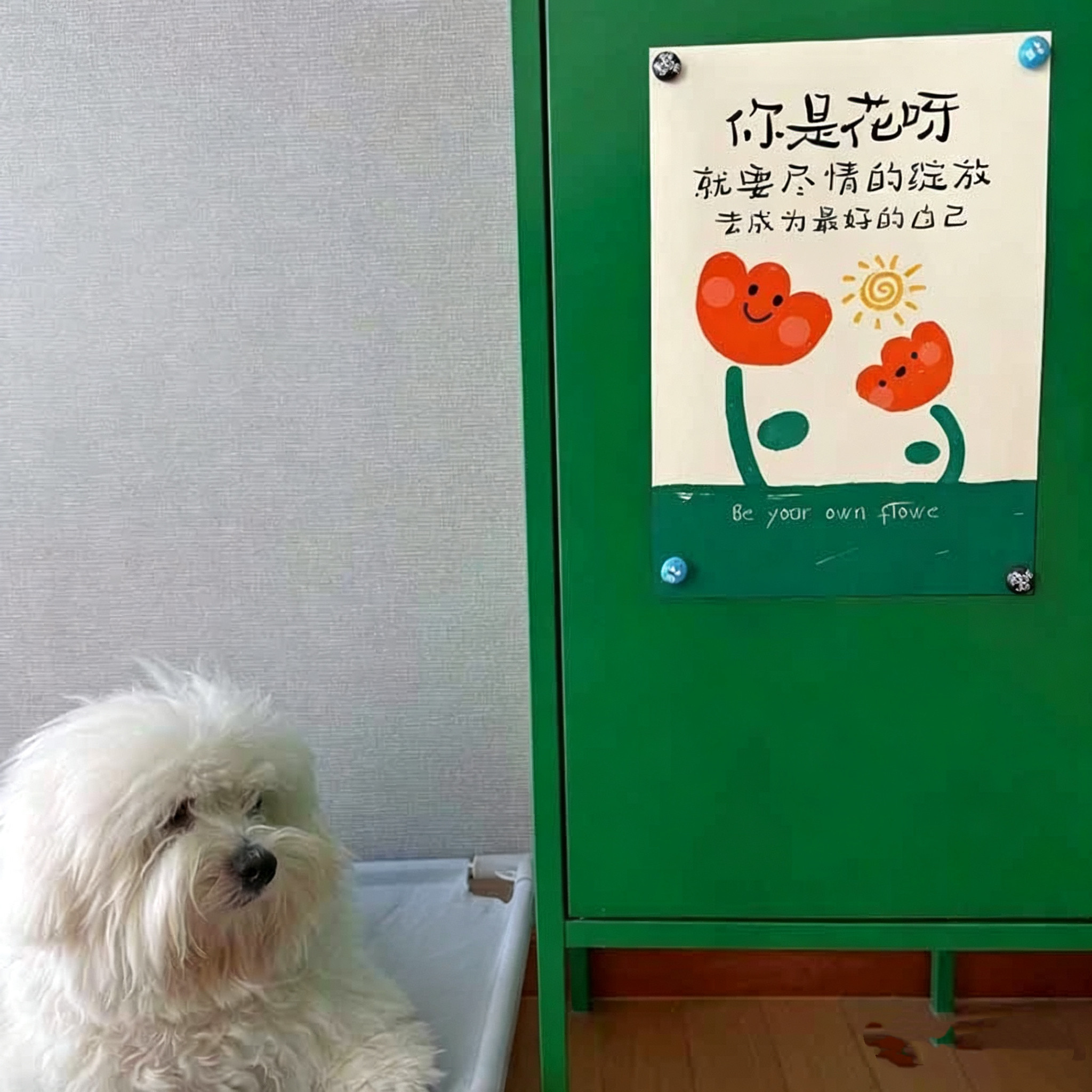 你是花呀治愈系防止内耗个性文字类海报书桌办公桌摆台送孩子礼物