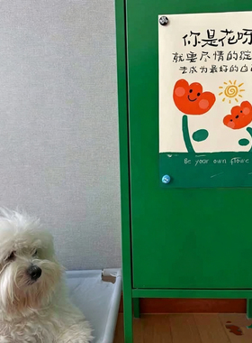 你是花呀治愈系防止内耗个性文字类海报书桌办公桌摆台送孩子礼物